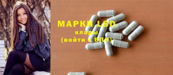 прущие грибы Михайловск