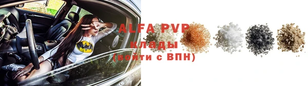прущие грибы Михайловск