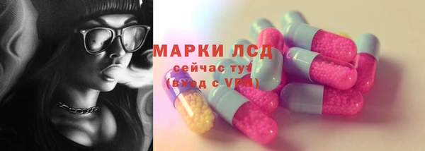 прущие грибы Михайловск